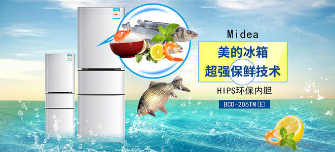 圣杰罗姆学院成绩单电子图